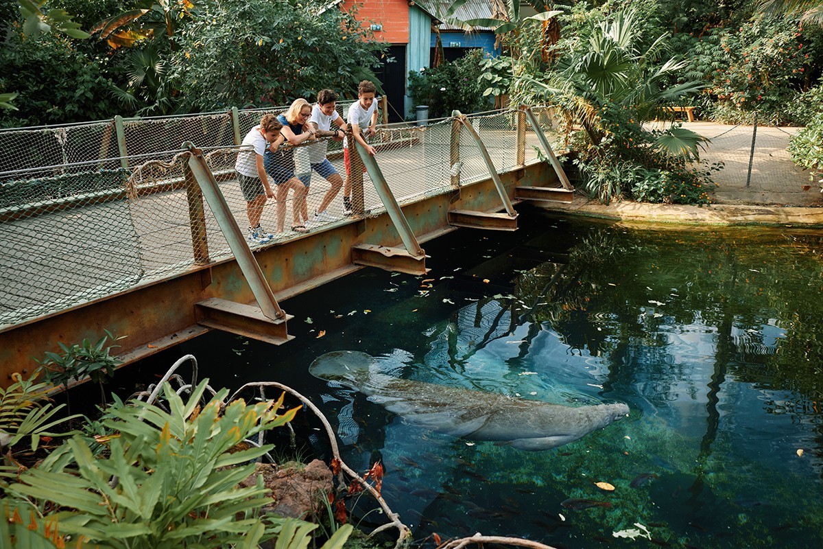 Koninklijke Burgers' Zoo 