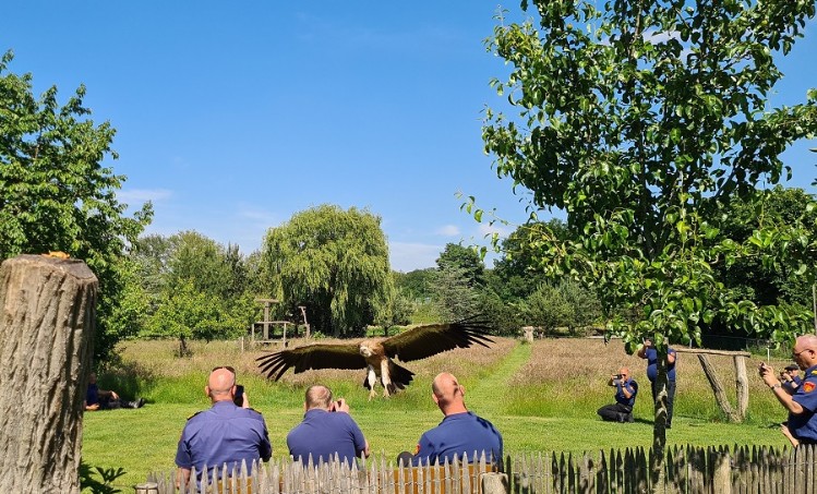 De Havikshoeve